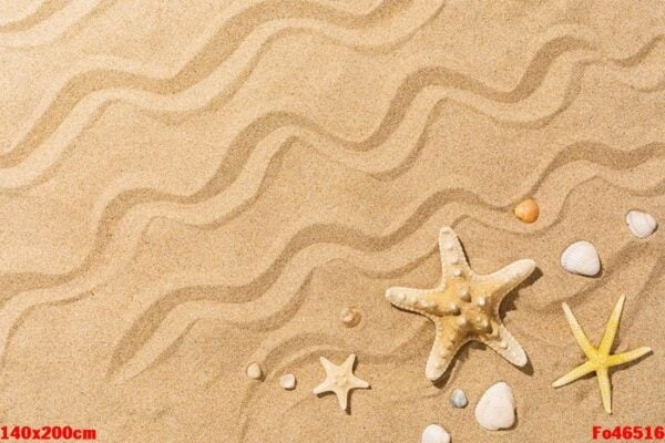 starfish and other seashells on the sand with copy space, summer