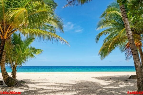 summer background of coconut palm trees on white sandy beach lan