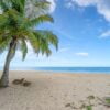 summer background of coconut palm trees on white sandy beach lan