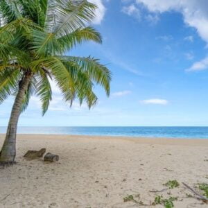 summer background of coconut palm trees on white sandy beach lan