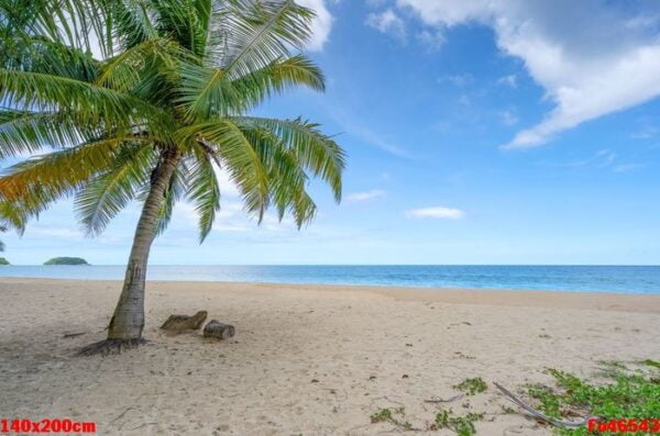 summer background of coconut palm trees on white sandy beach lan