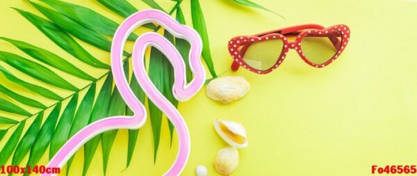 summer background mood, tropical leaf, sun glasses, seashells, f