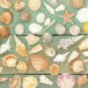 the summer background with seashells on the wooden backdrop