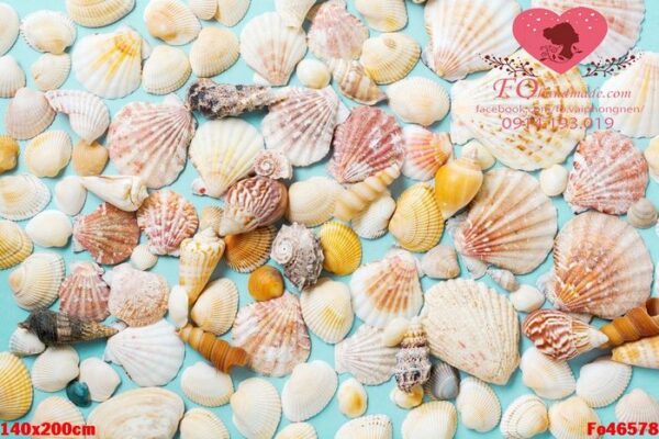 summer concept with sea shells and starfish on a blue background. top view.