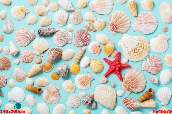 summer concept with sea shells and starfish on a blue background. top view.