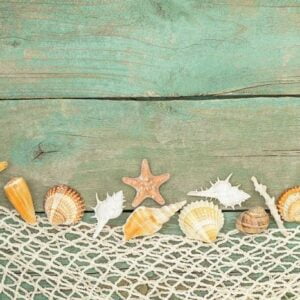 summer wooden background with seashells, starfishes, netting and place for text