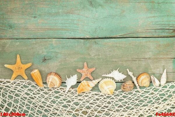 summer wooden background with seashells, starfishes, netting and place for text