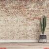 empty wall background with cactus right