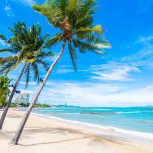 beach and sea