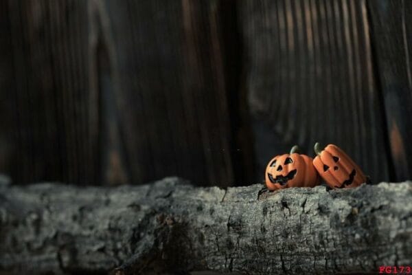 two halloween pumpkins close up