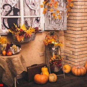 old house patio in autumn season.