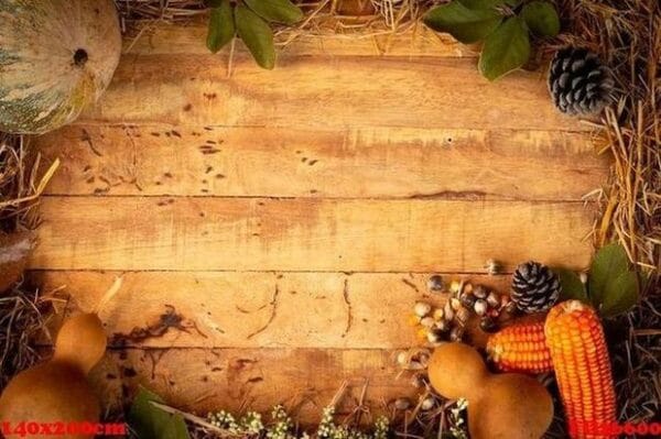 autumn and thanksgiving day background from fallen leaves and f