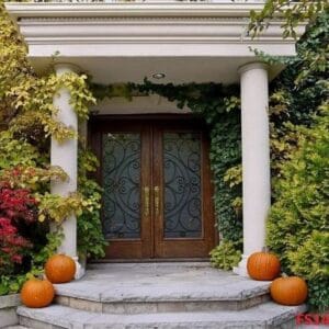 house,front,door,with,portico,and,fall,colors