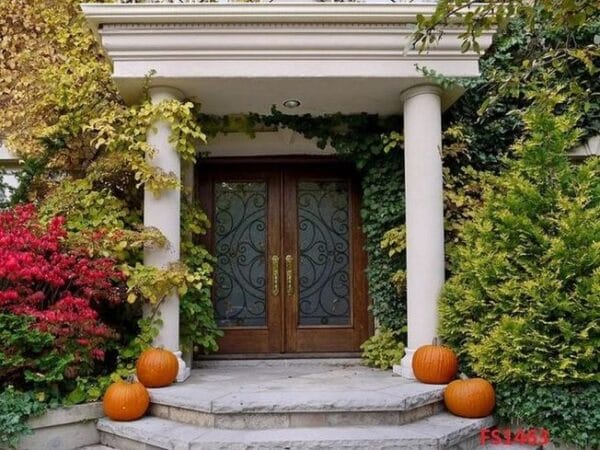 house,front,door,with,portico,and,fall,colors