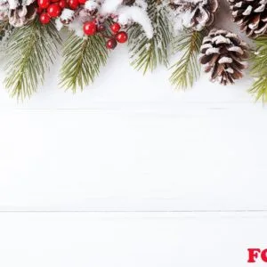 christmas holiday background.
