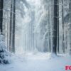 the tranquil beauty of a snow covered forest. generative ai