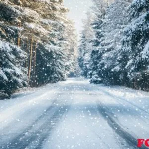 a snowy road with trees in the background