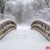 a quaint bridge covered in snow in the middle of a forest.