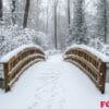 a quaint bridge covered in snow in the middle of a forest.