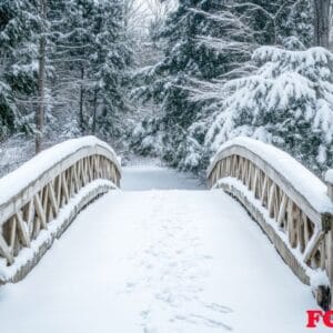 a quaint bridge covered in snow in the middle of a forest.