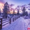 winter wonderland at twilight with fresh snow covering a forest