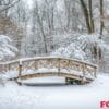 a quaint bridge covered in snow in the middle of a forest.