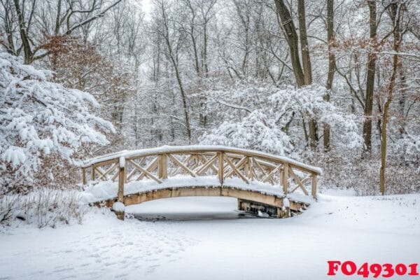 a quaint bridge covered in snow in the middle of a forest.