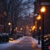 a snowy street with a few trees and street lights