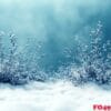 winter themed background with soft, snowy textures and a blank c