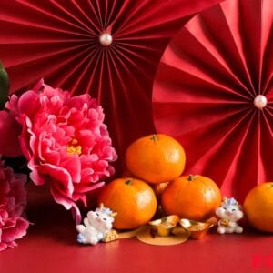 chinese new year of the dragon festival concept. mandarin orange