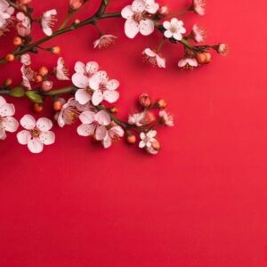 generative ai illustration of many small beautiful pink flower blossoms on red pastel background with copy space