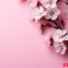 a pink background with blossoms on it