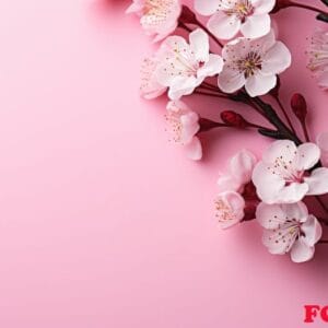 a pink background with blossoms on it