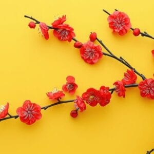 red apricot blossom branch on yellow background. flat lay. chinese new year decoration.