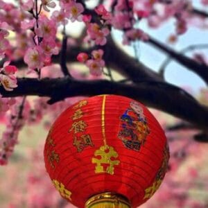 chinese red lanterns during chinese new year festival, chinese new year, new year celebration concept and happy new year chinese, representing prosperity and happiness