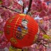 chinese red lanterns during chinese new year festival, chinese new year, new year celebration concept and happy new year chinese, representing prosperity and happiness