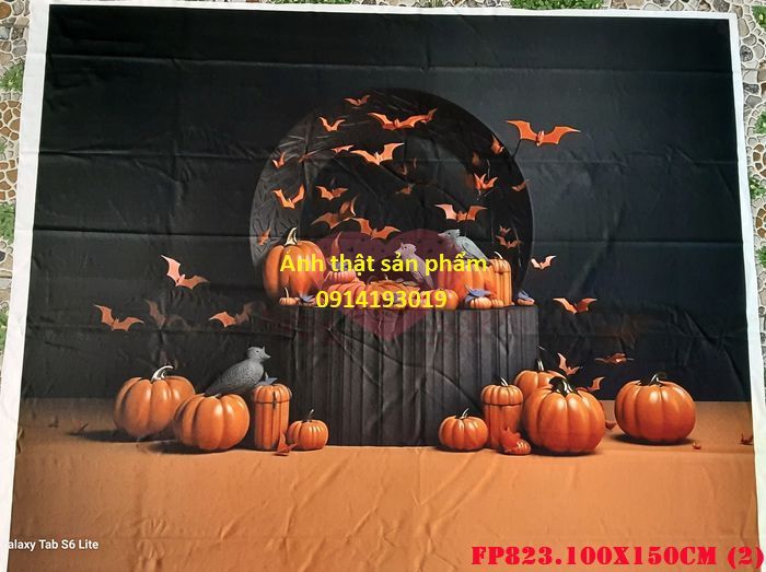 FP823.100x150cm (2)