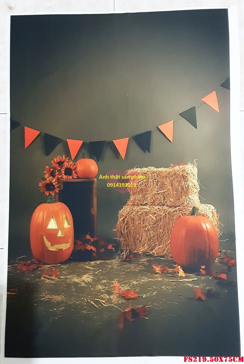 FS219.50x75cm