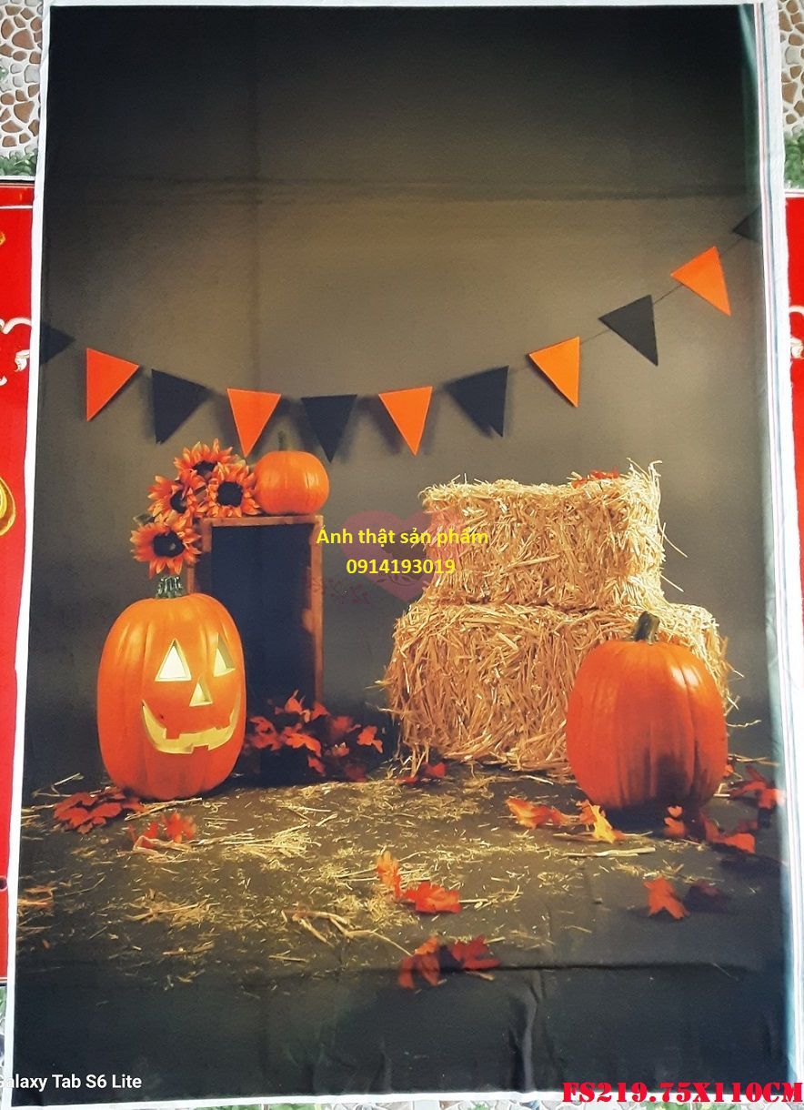 FS219.75x110cm