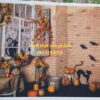 Fo14792 - Phông Nền Chụp Ảnh Halloween & Thu Hoạch - Cửa Sổ Cổ Điển Mèo Đen Bí Ngô
