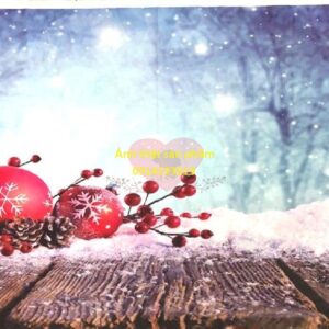 FO21412 - Phông Studio Vải Poly cao cấp, Giáng sinh Bokeh Tuyết Rơi Đẹp