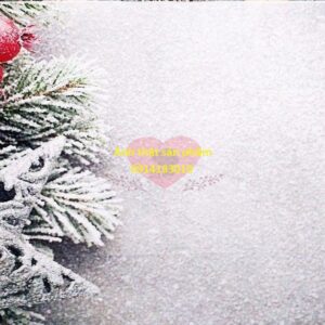❄️ Fo39115 - NỀN vải CHỤP ẢNH Noel hoạ tiết Ngôi Sao tuyết, Cành Thông, Quả Đỏ Fo39115