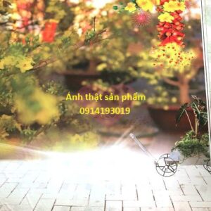 FO27522 - Phông Nền vải Chụp Ảnh Tết 3D Cao Cấp – Decor Studio Gia Đình