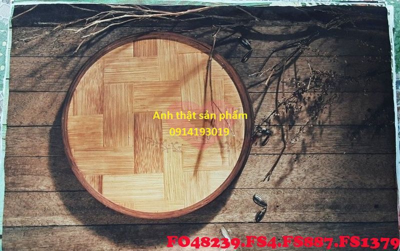 FO48239-FS4-FS887-FS1379