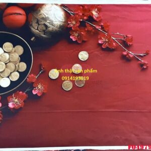 FO49792 - Phông nền vải Chụp Ảnh Tết 3D Cao Cấp – Sắc Đỏ Tài Lộc & Hoa Đào Khởi Đầu Năm Mới