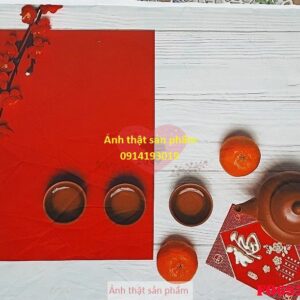 F06925 - Phông Nền vải Chụp Ảnh Tết – Decor Rực Rỡ, Đậm Chất Truyền Thống