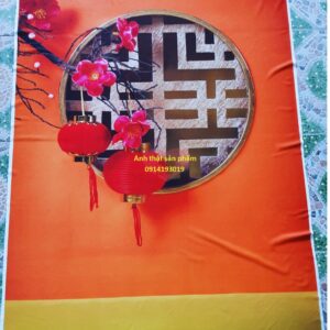 FS875 - Vải Phông Nền Chụp Ảnh Tết 3D Sang Trọng