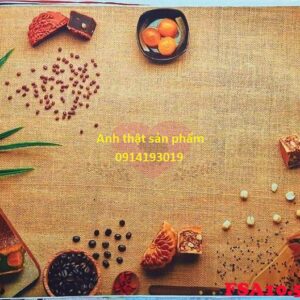 FSA10 - Vải Phông Nền Chụp Ảnh Tết Chủ Đề Trung Thu & Lễ Hội – Đẹp, Sang Trọng