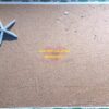FO19925 - Backdrop vải 3D in họa tiết cát biển - Mang Cả Bãi Biển Vào Bộ Ảnh Của Bạn