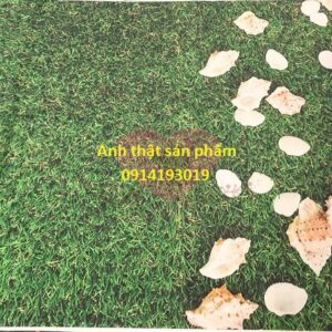 FO5098 - Phông Nền 3D Thảm Cỏ & Vỏ Sò Biển Mùa Hè
